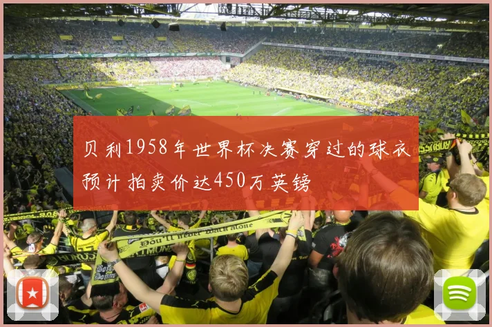 贝利1958年世界杯决赛穿过的球衣预计拍卖价达450万英镑
